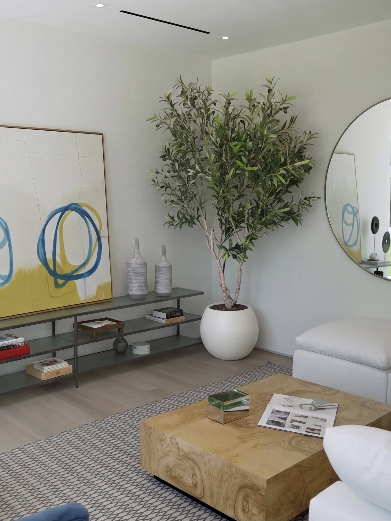Olive Tree Collection